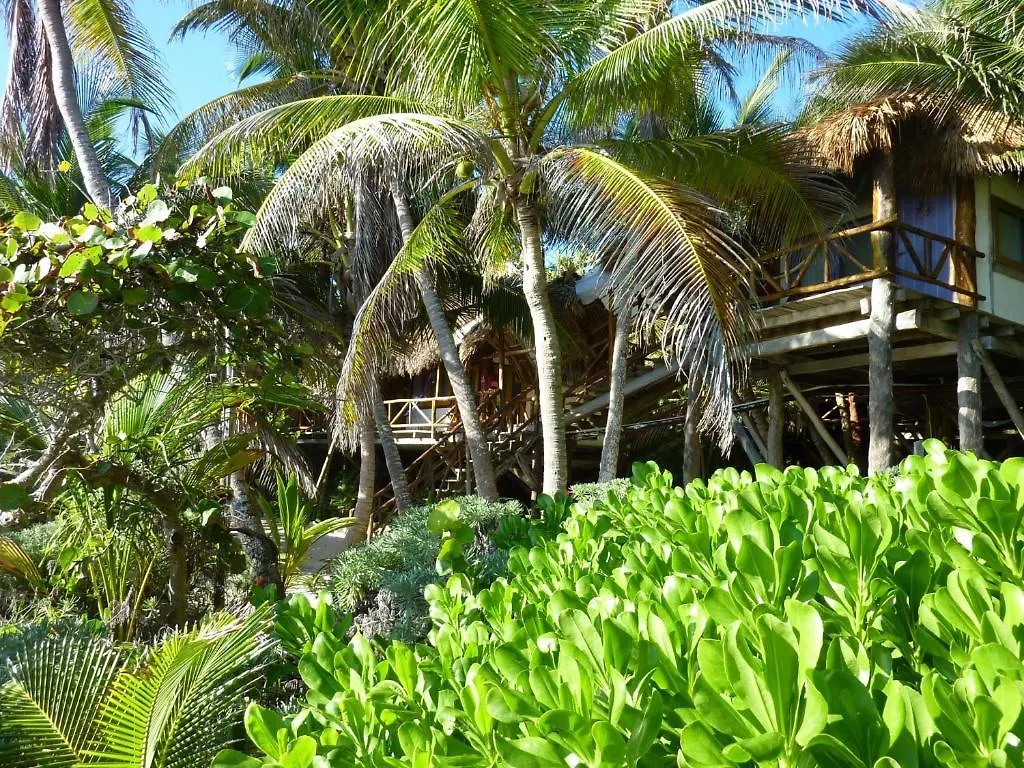 ***  Hotel Amoreira Tulum Meksyk