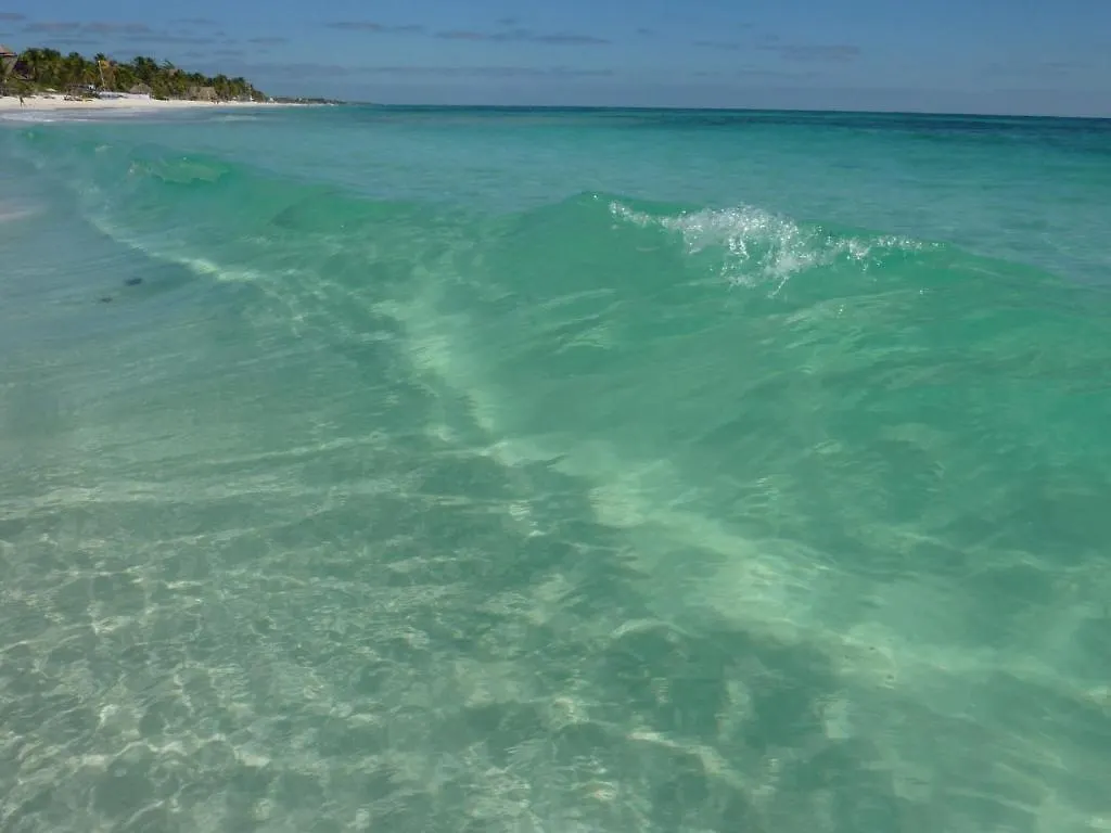 Hotel Amoreira Tulum 3*,