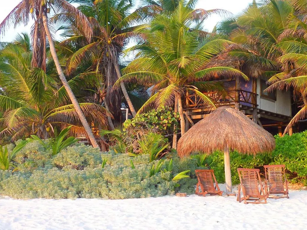 Hotel Amoreira Tulum