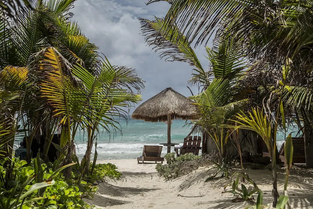 Hotel Amoreira Tulum