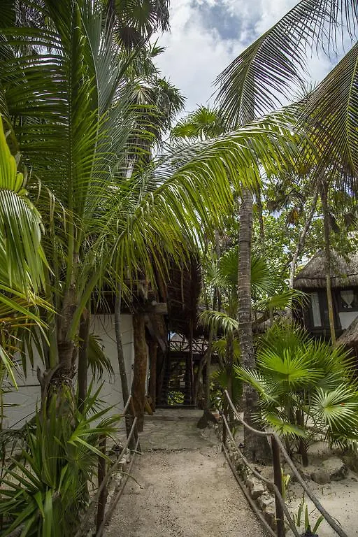 Hotel Amoreira Tulum