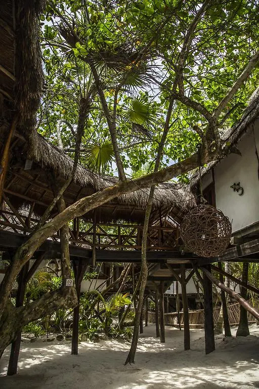 Hotel Amoreira Tulum Meksyk