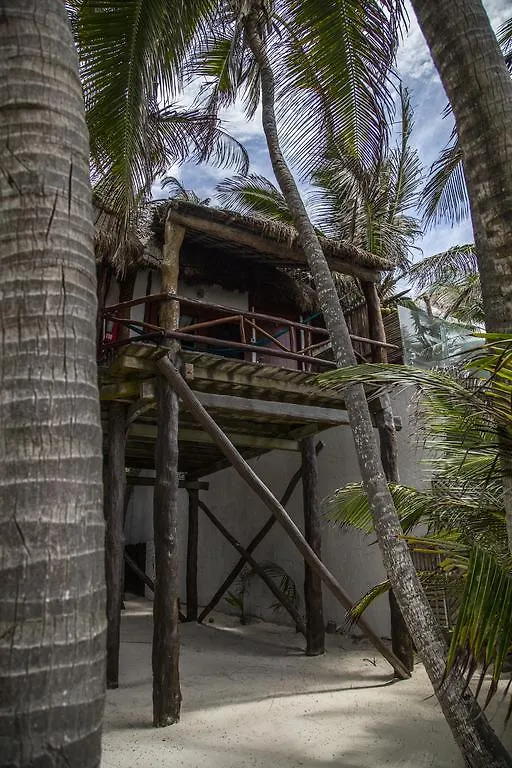 ***  Hotel Amoreira Tulum Meksyk