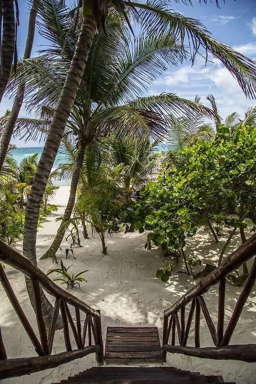 Hotel Amoreira Tulum