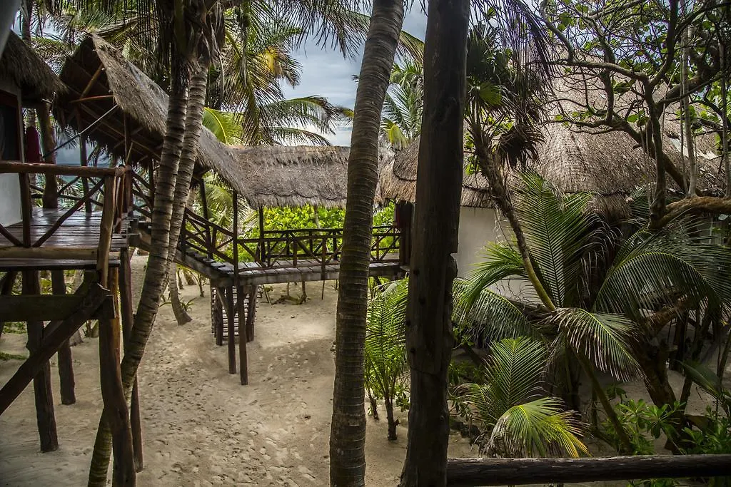 Hotel Amoreira Tulum 3*,